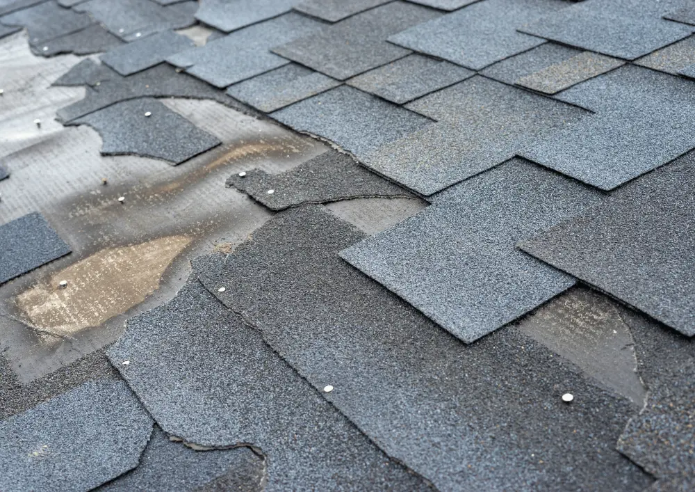 Top 5 Signs You Need Roof Repairs in Temple, TX